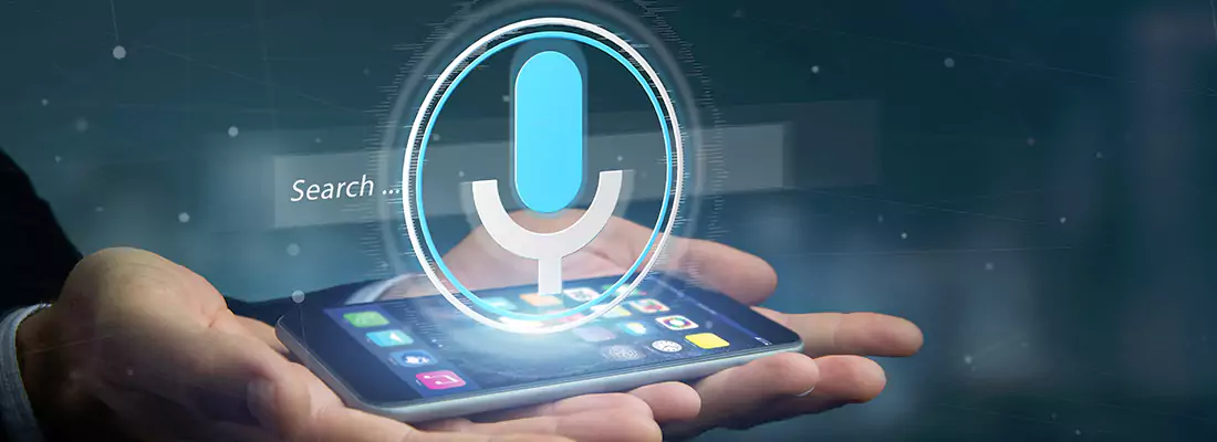 Enhance Security with Voice Recognition Access Systems in Royal Palm Beach, FL